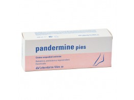 Imagen del producto Pandermine pies crema 100ml